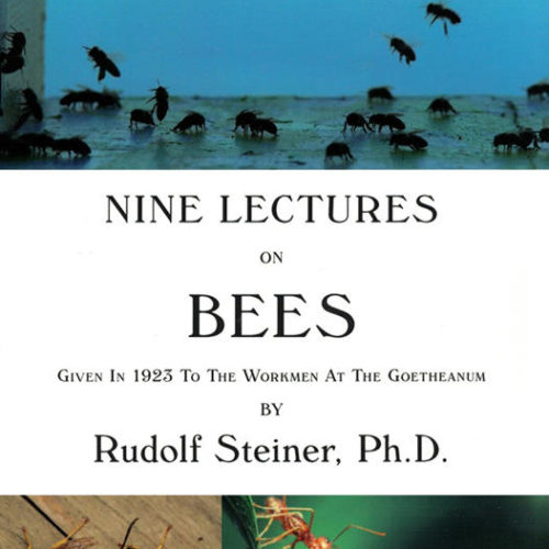 Nine Lectures on Bees ( given in 1923 at the Goetheanum) by Rudolf Steiner Manuscript version