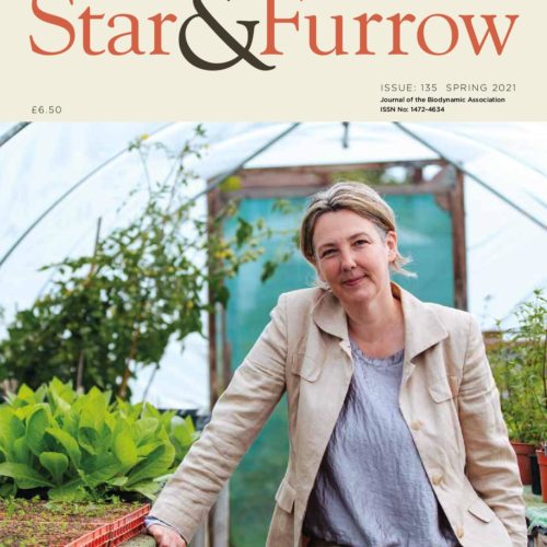 Star & Furrow Spring  2021 no 135