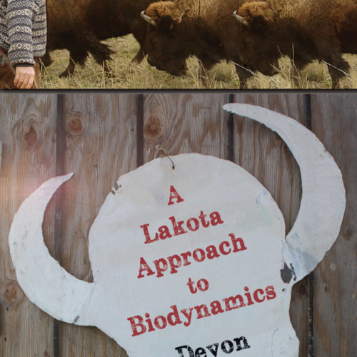A Lakota Approach to Biodynamics, Taking Life Seriously Devon Strong