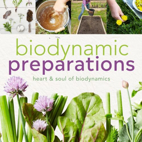 Biodynamic Preparations - Heart and soul of biodynamics