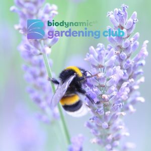 Biodynamic Gardening Club