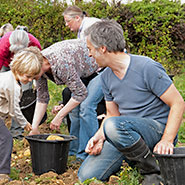 group farming together