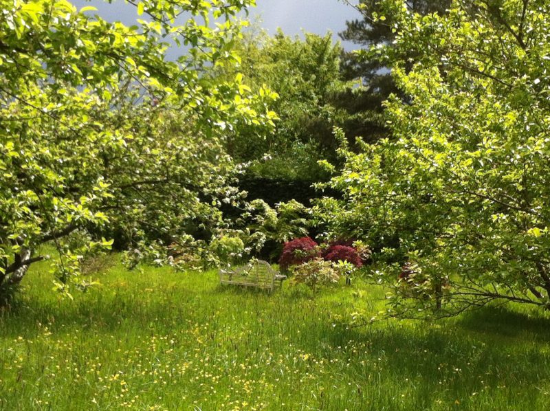 Tablehurst Farm In the garden at Tablehurst Farm, the lunar cycle dictates sowing ...