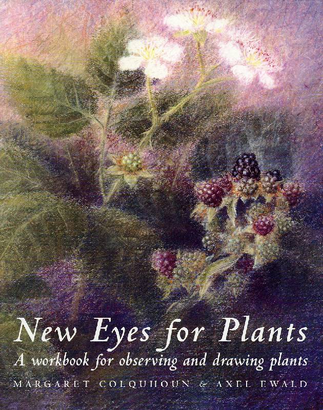 New Eyes for Plants, M Colquhoun