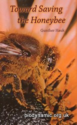 Towards Saving the Honey Bee, G Hauk
