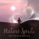 Nature Spirits - The Remembrance: A Guide to the Elemental Kingdom Susan Raven