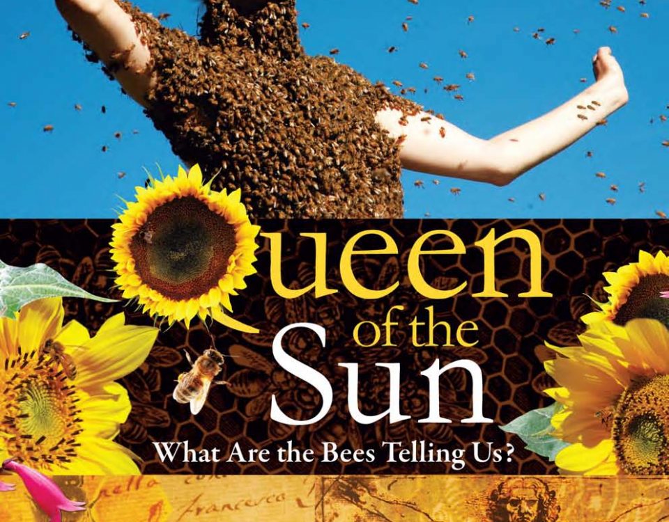 Queen of the Sun DVD, Taggart Siegal running time 82 mins