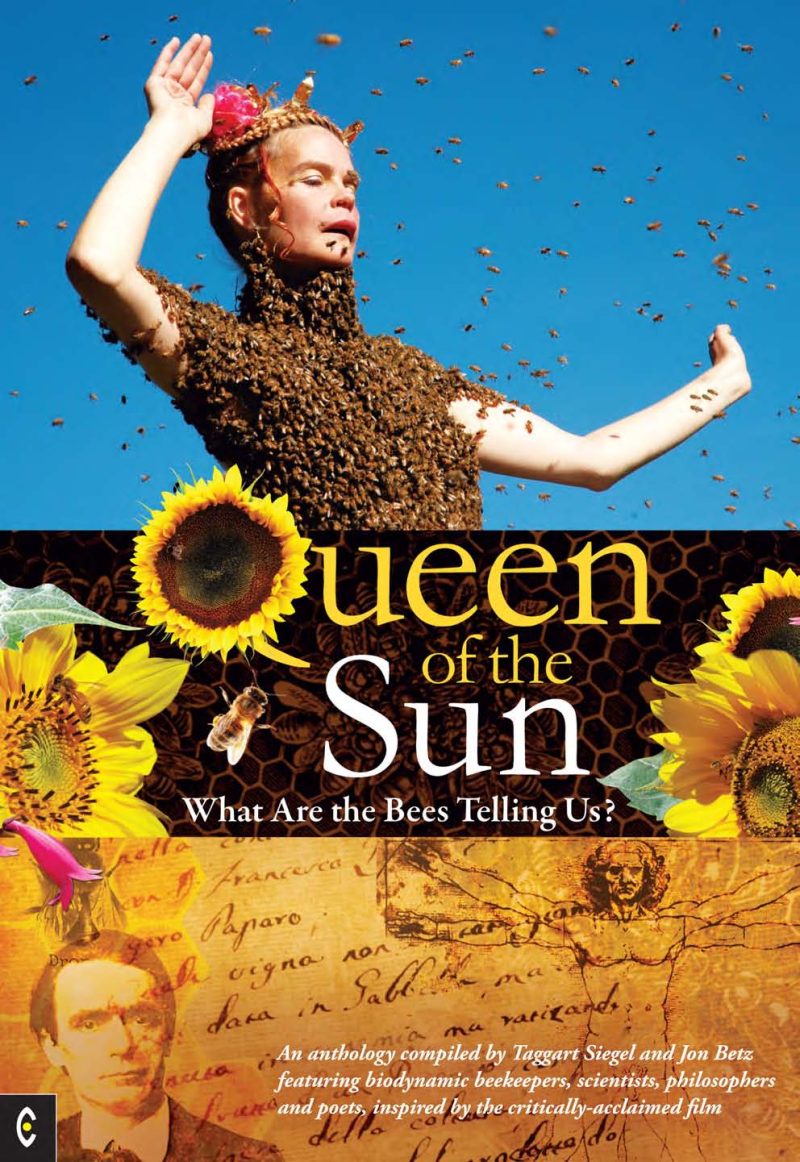 Queen of the Sun - What Are the Bees Telling Us? Taggart Siegel BOOK